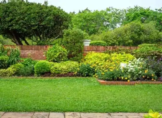 landscaping services Wood Heights